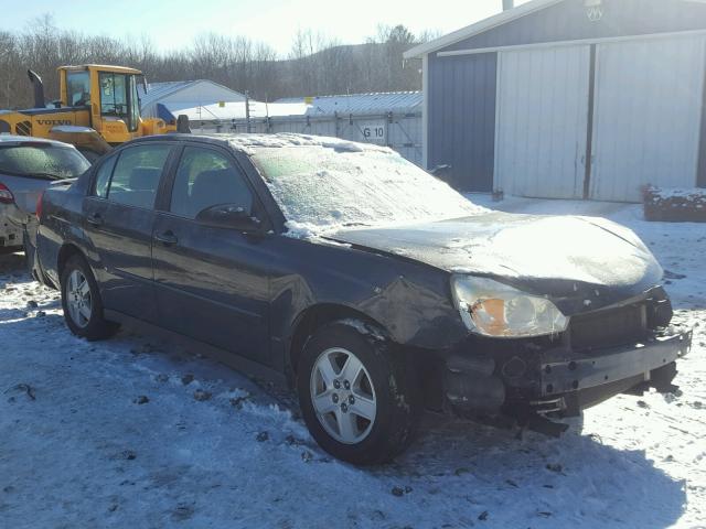 1G1ZT548X5F288246 - 2005 CHEVROLET MALIBU LS BLUE photo 1