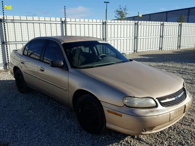 1G1ND52J52M521460 - 2002 CHEVROLET MALIBU GOLD photo 1