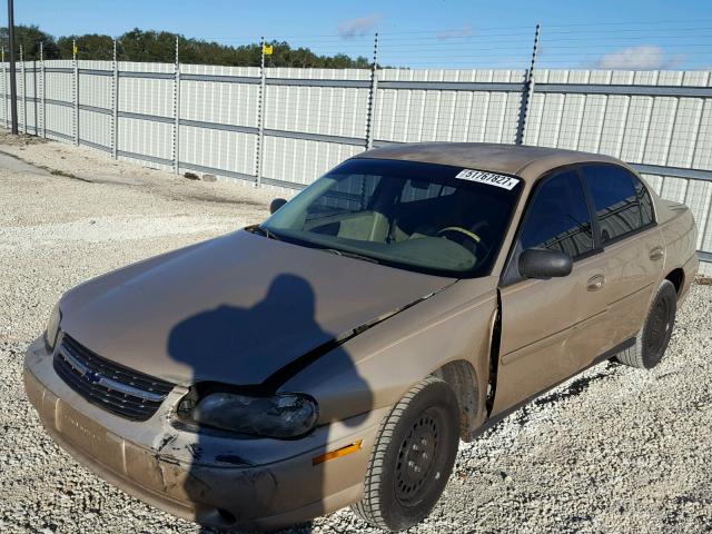 1G1ND52J52M521460 - 2002 CHEVROLET MALIBU GOLD photo 2