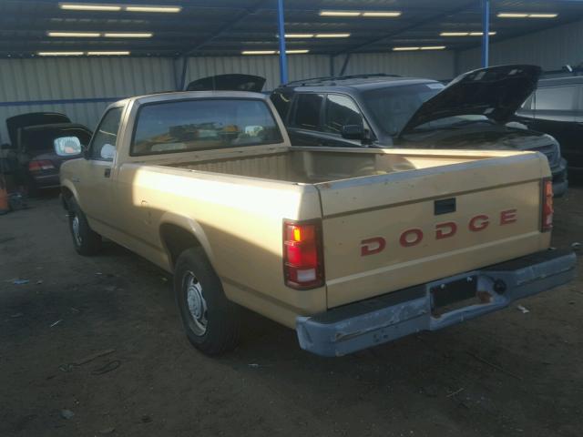 1B7GL26X5MS270583 - 1991 DODGE DAKOTA GOLD photo 3