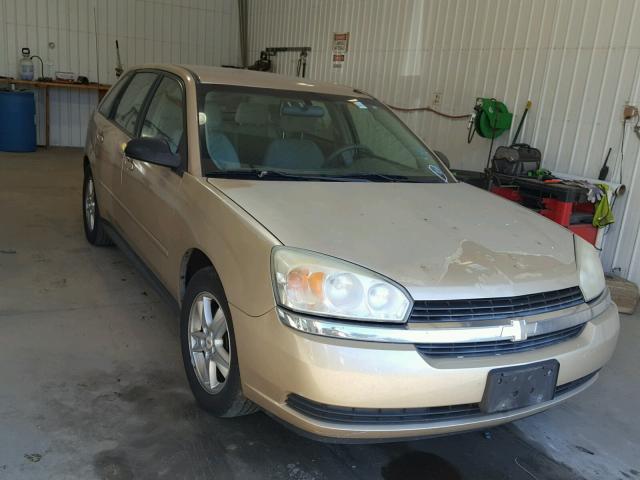 1G1ZT64855F103882 - 2005 CHEVROLET MALIBU MAX ბეჟი ფოტო 1