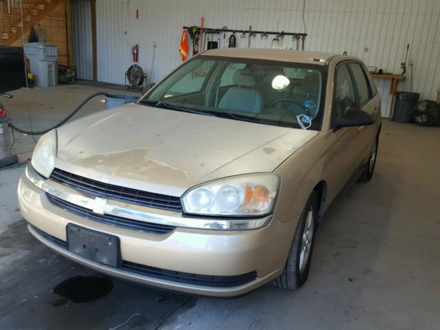 1G1ZT64855F103882 - 2005 CHEVROLET MALIBU MAX BEIGE photo 2