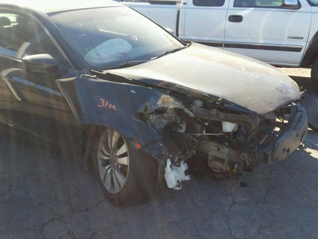 1HGCS12869A025591 - 2009 HONDA ACCORD EXL BLACK photo 9