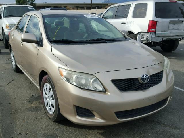 1NXBU40E59Z130261 - 2009 TOYOTA COROLLA BA GOLD photo 1