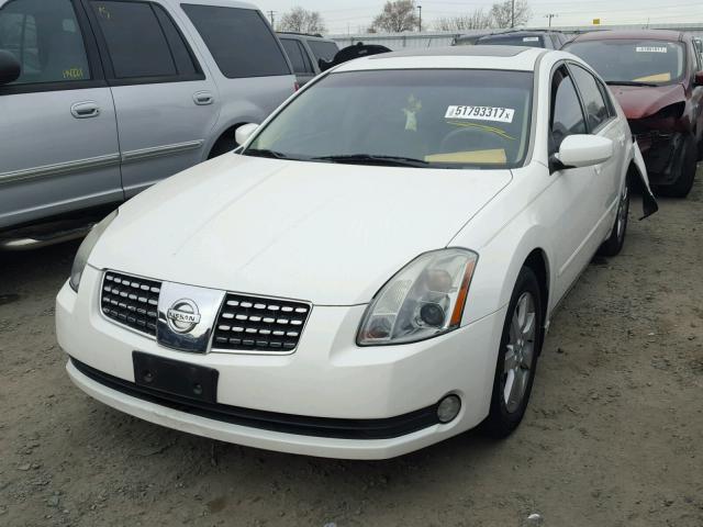 1N4BA41E16C829213 - 2006 NISSAN MAXIMA SE WHITE photo 2