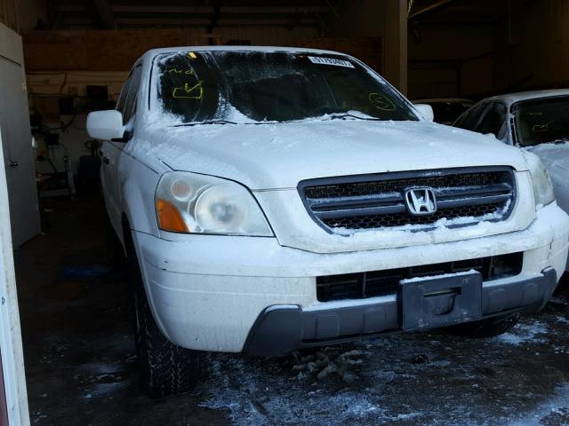 5FNYF18504B001146 - 2004 HONDA PILOT EXL WHITE photo 1