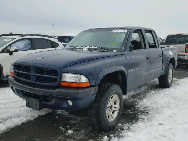 1B7HG38N52S551595 - 2002 DODGE DAKOTA QUA BLUE photo 2