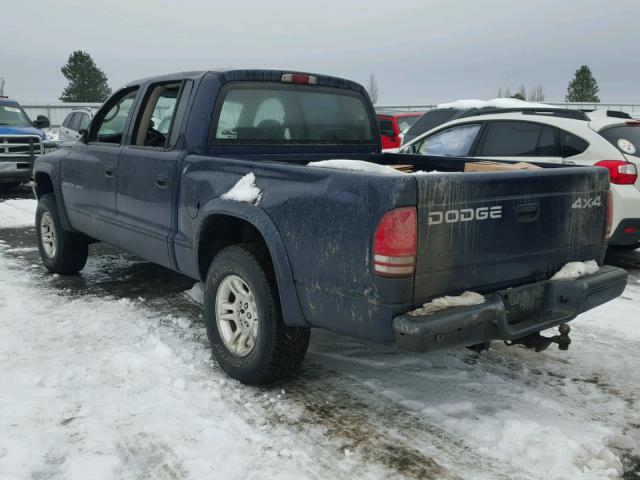 1B7HG38N52S551595 - 2002 DODGE DAKOTA QUA BLUE photo 3