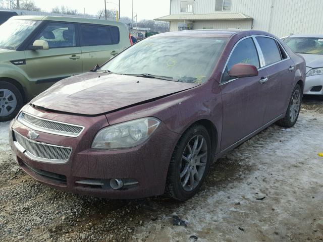 1G1ZE5EUXBF117854 - 2011 CHEVROLET MALIBU LTZ 勃艮第红 照片 2