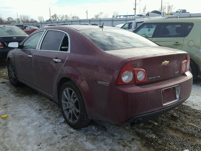 1G1ZE5EUXBF117854 - 2011 CHEVROLET MALIBU LTZ 勃艮第红 照片 3