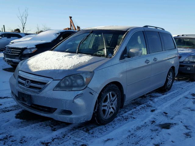 5FNRL38415B015896 - 2005 HONDA ODYSSEY EX SILVER photo 2