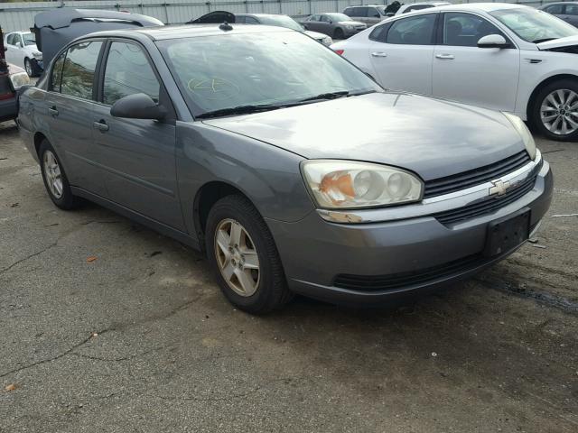 1G1ZT54825F244600 - 2005 CHEVROLET MALIBU LS ნაცრისფერი ფოტო 1