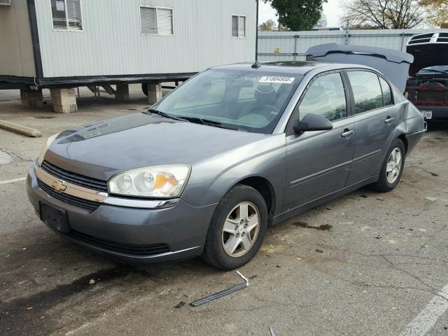 1G1ZT54825F244600 - 2005 CHEVROLET MALIBU LS ნაცრისფერი ფოტო 2