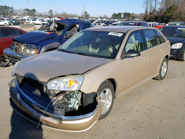 1G1ZU64834F241285 - 2004 CHEVROLET MALIBU MAX GOLD photo 2