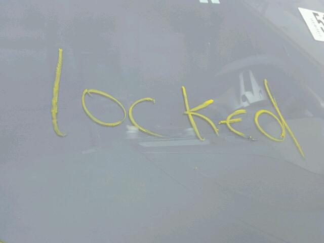 2HGFG11856H510611 - 2006 HONDA CIVIC EX ნაცრისფერი ფოტო 10