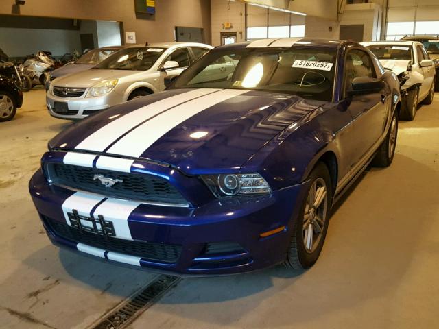 1ZVBP8AM0D5249070 - 2013 FORD MUSTANG BLUE photo 2