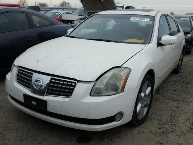 1N4BA41E84C833594 - 2004 NISSAN MAXIMA SE WHITE photo 2