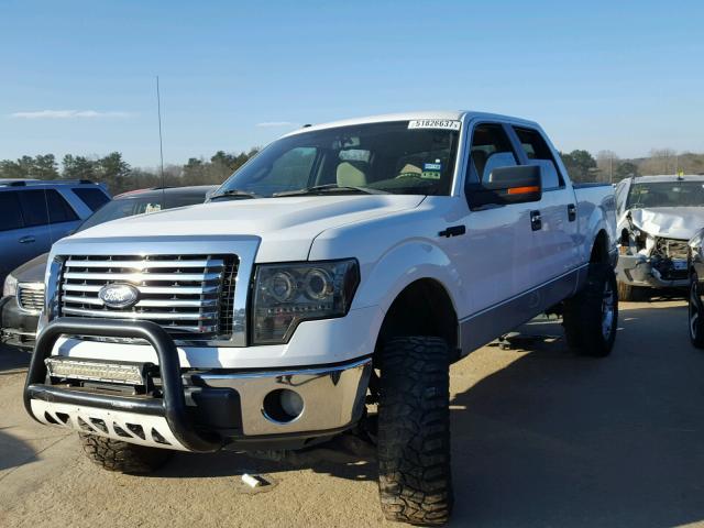 1FTFW1EV4AFB06033 - 2010 FORD F150 SUPER WHITE photo 2