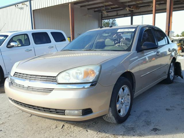 1G1ZU54834F234587 - 2004 CHEVROLET MALIBU LT GOLD photo 2