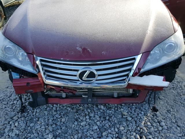 JTHBK1EG4A2346877 - 2010 LEXUS ES 350 RED photo 7