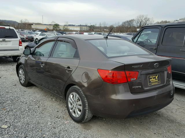 KNAFU4A25D5656027 - 2013 KIA FORTE EX BROWN photo 3