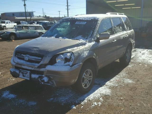 2HKYF18443H525830 - 2003 HONDA PILOT EX GOLD photo 2