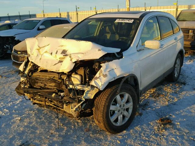 5J6RE48768L821139 - 2008 HONDA CR-V EXL WHITE photo 2