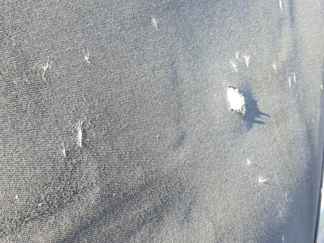 3VWBM31Y94M348205 - 2004 VOLKSWAGEN NEW BEETLE 银色 照片 9