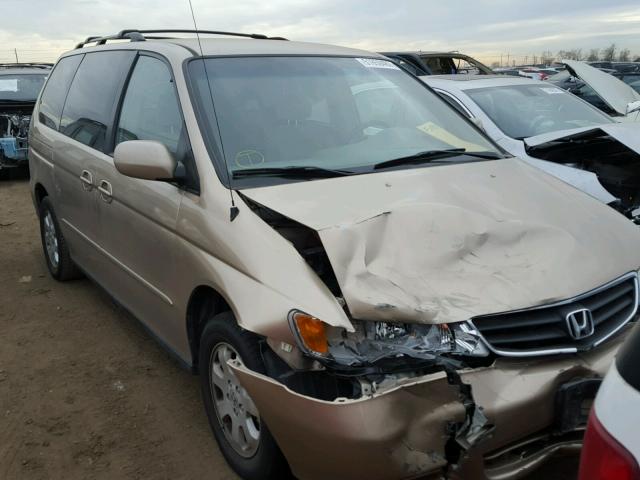 2HKRL18602H569238 - 2002 HONDA ODYSSEY EX GOLD photo 1