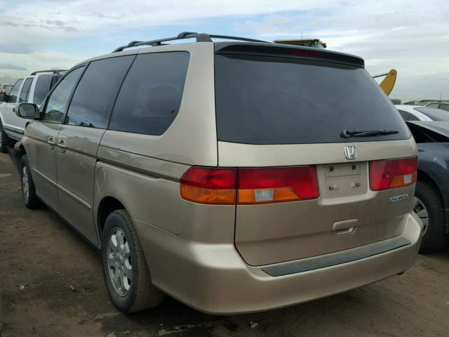 2HKRL18602H569238 - 2002 HONDA ODYSSEY EX GOLD photo 3