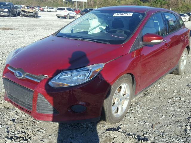 1FADP3K26DL187008 - 2013 FORD FOCUS SE MAROON photo 2