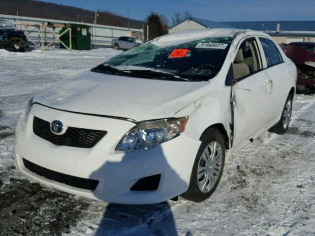 1NXBU4EE2AZ342564 - 2010 TOYOTA COROLLA BA WHITE photo 2