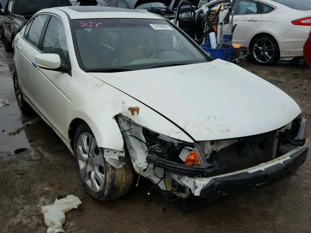 1HGCP368X8A019539 - 2008 HONDA ACCORD EXL WHITE photo 1