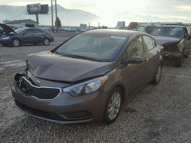 KNAFX4A63E5232678 - 2014 KIA FORTE LX BROWN photo 2