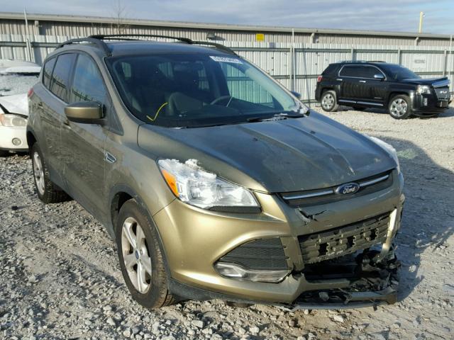 1FMCU0GX6DUA52389 - 2013 FORD ESCAPE SE GREEN photo 1