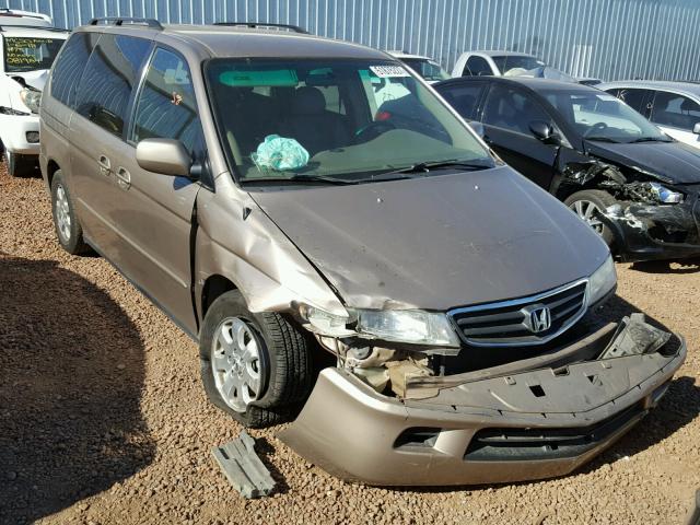 5FNRL18004B116136 - 2004 HONDA ODYSSEY EX GOLD photo 1