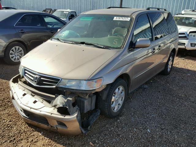 5FNRL18004B116136 - 2004 HONDA ODYSSEY EX GOLD photo 2