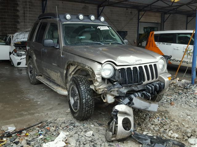 1J4GK38K33W579917 - 2003 JEEP LIBERTY RE GOLD photo 1