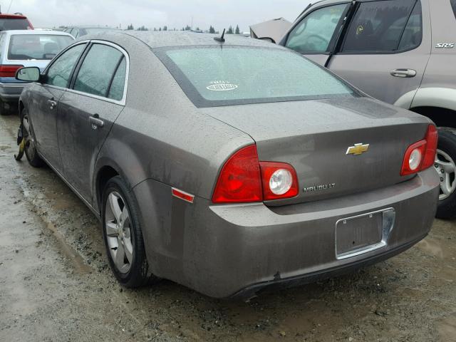 1G1ZC5E19BF201076 - 2011 CHEVROLET MALIBU 1LT 棕色 照片 3