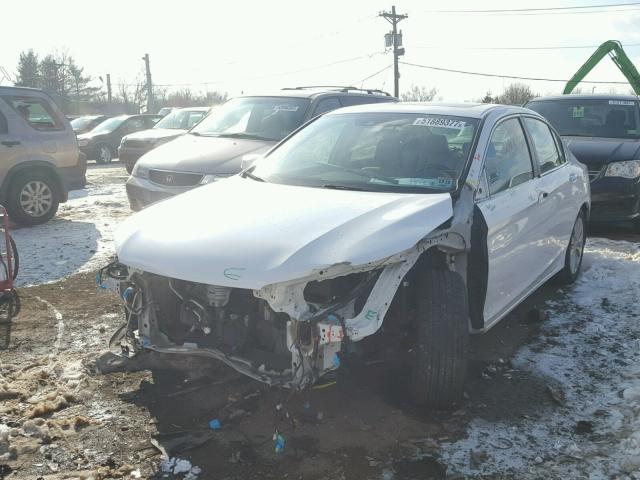 1HGCR2F87EA197344 - 2014 HONDA ACCORD EXL WHITE photo 2