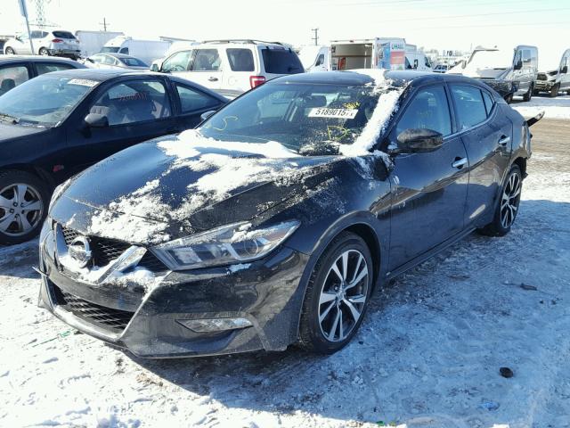 1N4AA6AP2GC399489 - 2016 NISSAN MAXIMA 3.5 BLACK photo 2