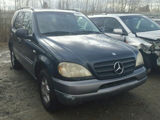 4JGAB54E7XA085436 - 1999 MERCEDES-BENZ ML 320 BLUE photo 1