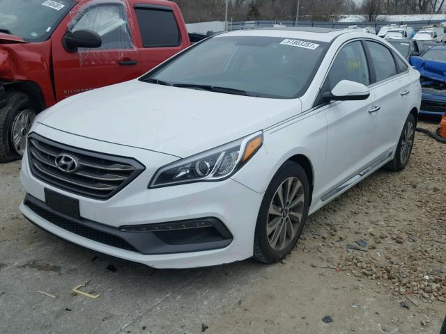 5NPE34AF9GH363496 - 2016 HYUNDAI SONATA SPO WHITE photo 2