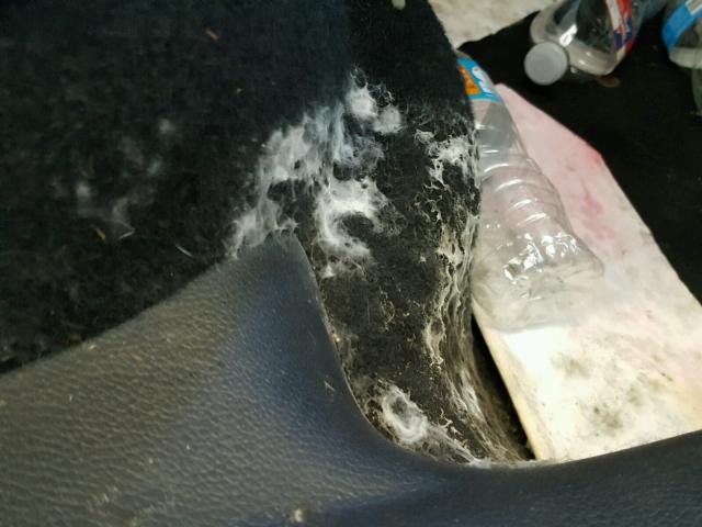 WVWDB7AJ9DW132379 - 2013 VOLKSWAGEN GOLF 蓝色 照片 9