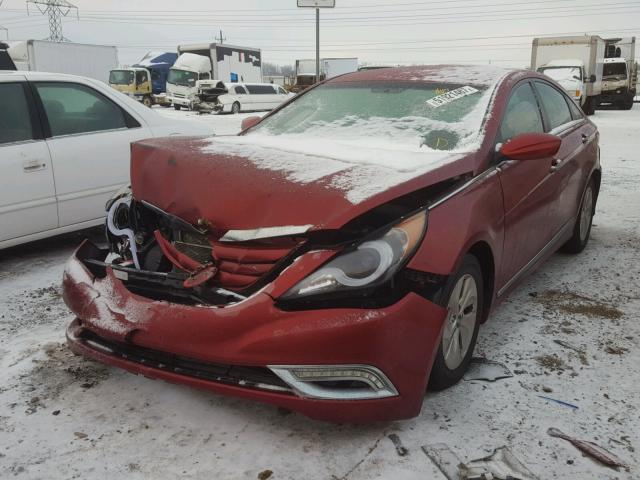 5NPEB4AC4EH816509 - 2014 HYUNDAI SONATA GLS RED photo 2