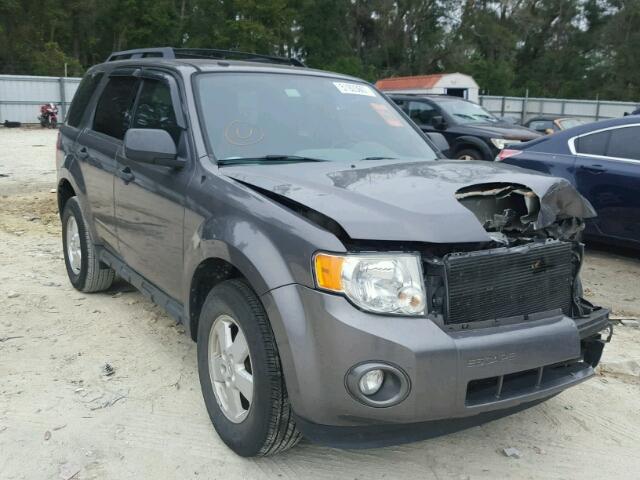 1FMCU0DG9CKB49293 - 2012 FORD ESCAPE XLT GRAY photo 1