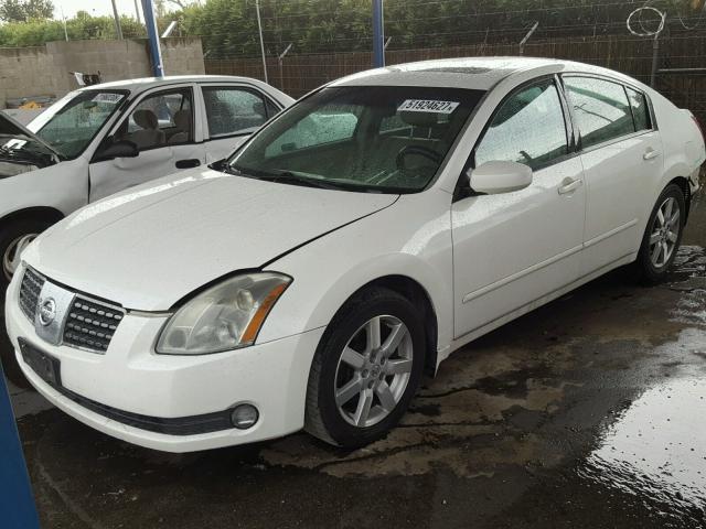 1N4BA41E75C833491 - 2005 NISSAN MAXIMA SE WHITE photo 2