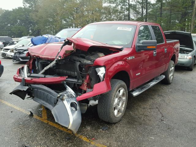 1FTFW1ET4EFA75404 - 2014 FORD F150 SUPER RED photo 2