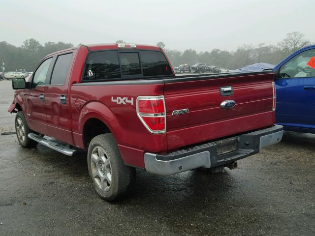 1FTFW1ET4EFA75404 - 2014 FORD F150 SUPER RED photo 3