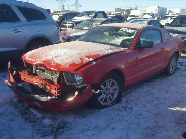 1ZVHT80N585201053 - 2008 FORD MUSTANG RED photo 2